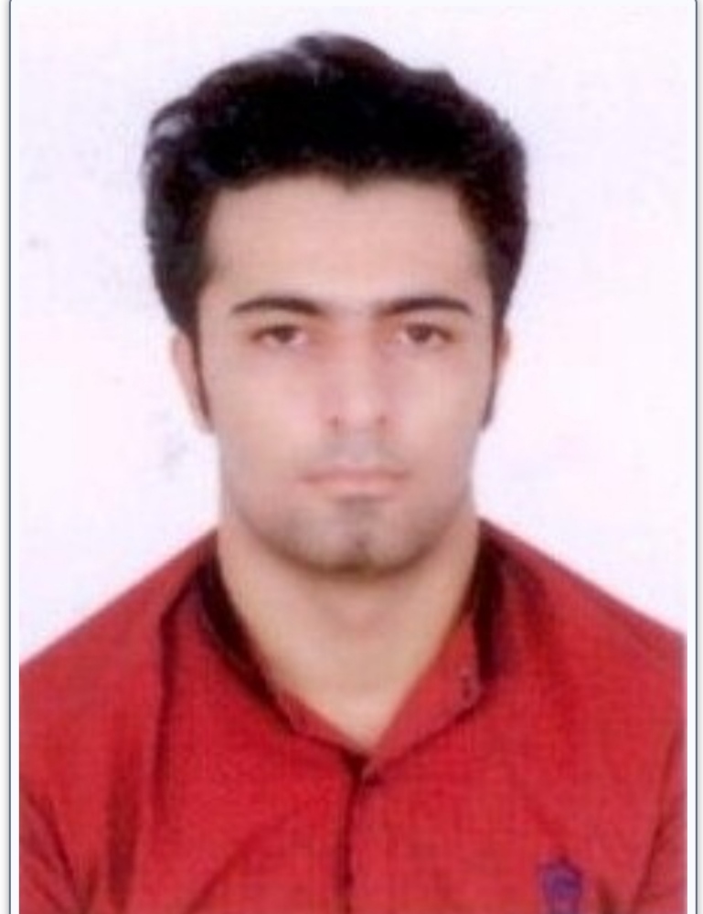 کارشناس اسعد حامدی