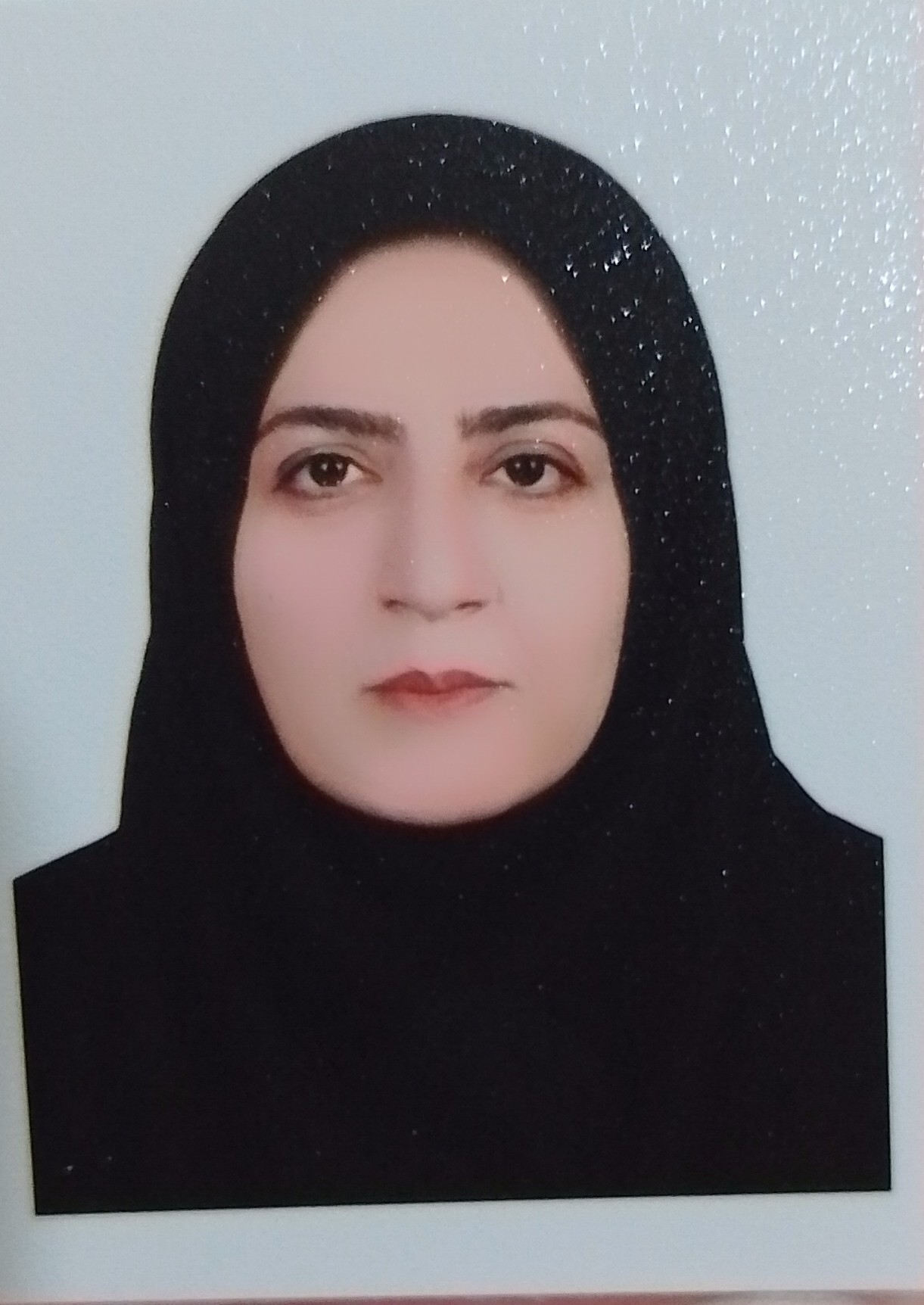 مشاور اعظم سیاحی