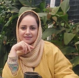 مشاور نهضت سرکاکی