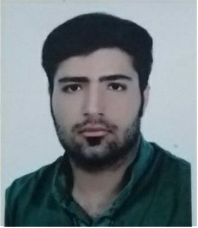 حسام ناصری
