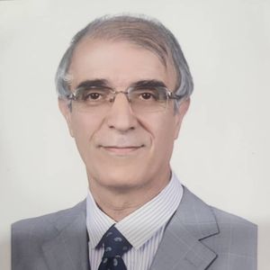 سید مهدی حسن زاده