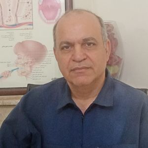 رضا ابراهیمی توانی