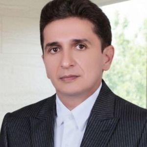 فردین پرویزی