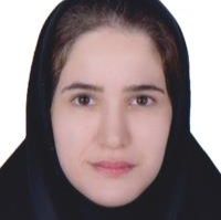 روژین پهلوانی