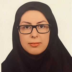 میناسادات خونساری