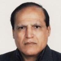 سید محمدحسین حسینی زواره
