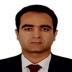عابد مهدوی