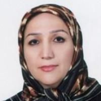 اکرم السادات محمدنفری