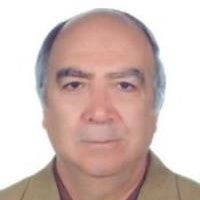 علی دیلمی پور