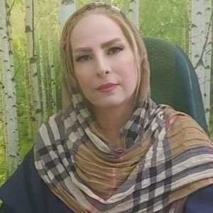 بتول شکیبا دانا