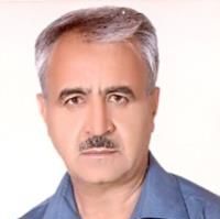 عبدالحسن تقی زاده