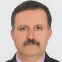 افشین رضاعی
