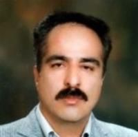 احمد حبیبی