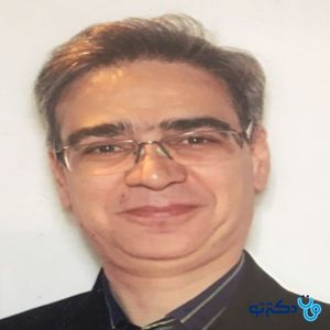 احمد میردامادی
