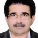 احمد شمسی زاده حیات داودی