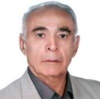 اکبر ملک زاده