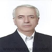 علی اصغر علی پورجدی