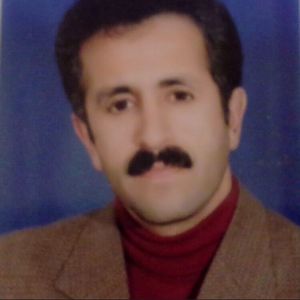 علی بهلولی