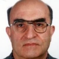 علی اسلامی