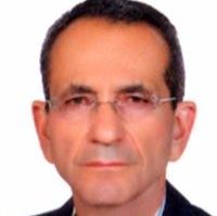 علی فولادی