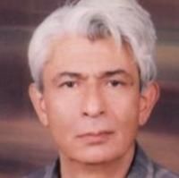 علی گرزن