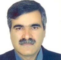 علی جنگجو