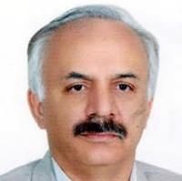 علی میرعلایی