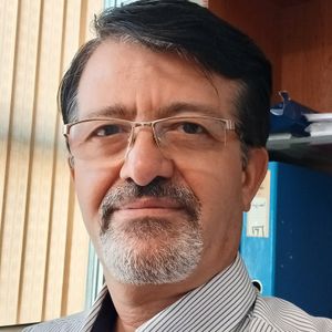 علی تهمتن