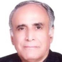 علی زندی