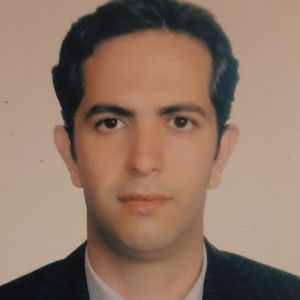 علیرضا ملک راه