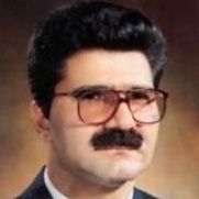 علیرضا مفید