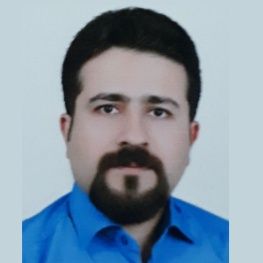 علیرضا روحی