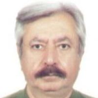 علیرضا صولتی