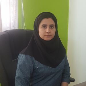 آمنه عابدی پوست