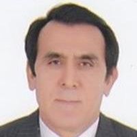 امین کریمی