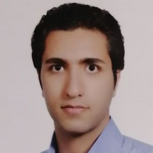 امیر محسنی