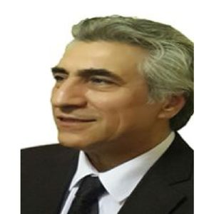 امیرمجتبی فارسی جانی