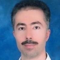 امیررضا مجیدی دیزج