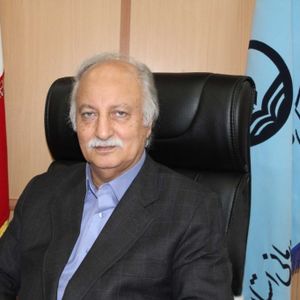 انوش برزیگر