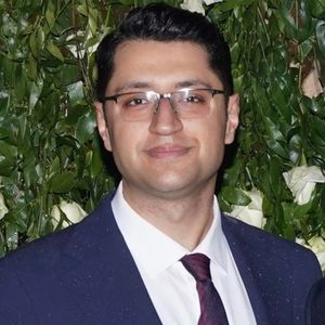 سید عارف نجیبی