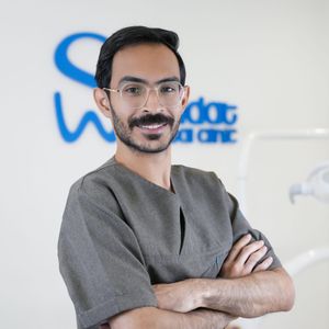 آریا وشانی