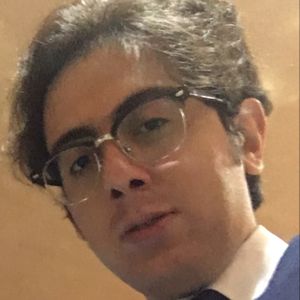 آرین حاجی کریم همدانی