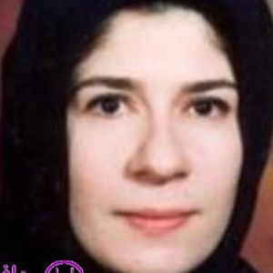آرمین رجب زاده