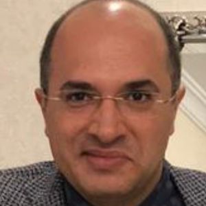 آوید رکنی