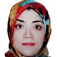 آزاده یادگاری نیارکی