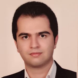 بابک هاشمی پور