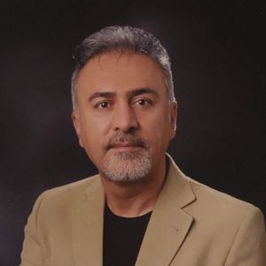 بهمن نامجوی