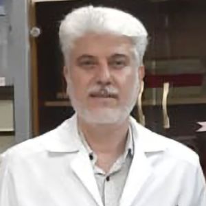 بهزاد موذنی