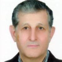 بیژن ملک احمدی