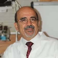 بیژن ربیعی